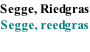 Segge, Riedgras Segge, reedgras